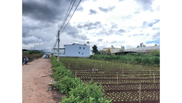 Bán đất nền giá rẻ tại xã Đạ Ròn, Đơn Dương, Lâm Đồng 5x24, có thổ cư giá 7xx triệu